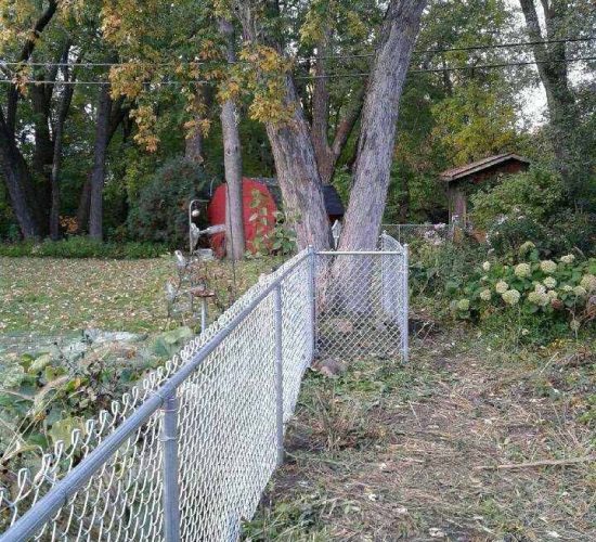 4 Galvanized Chain Link Fence Around Tree