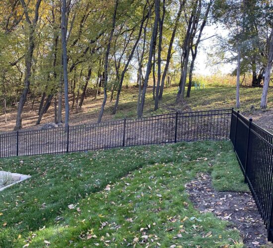 Ornamental Wrought Iron Fences Mn (6)